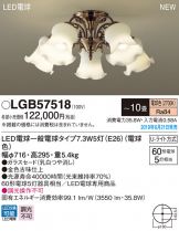 LGB57518