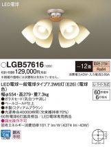 LGB57616