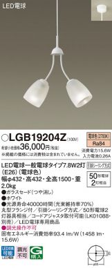 LGB19204Z