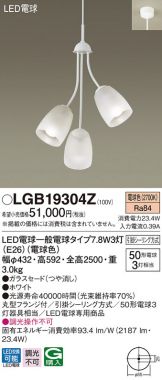LGB19304Z