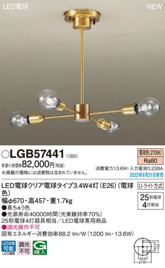 LGB57441