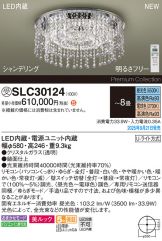 SLC30124