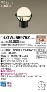 LGWJ56975Z
