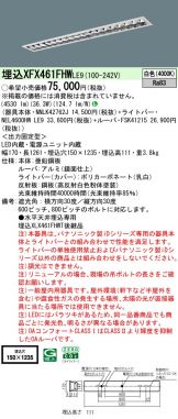 XFX461FHWLE9
