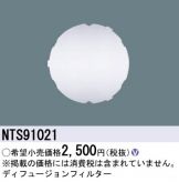 NTS91021