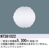 NTS91022