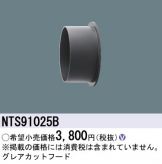 NTS91025B