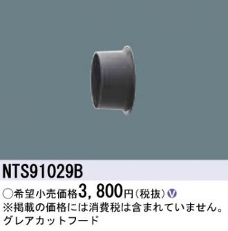 NTS91029B