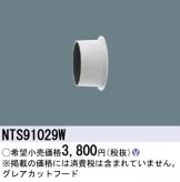 NTS91029W