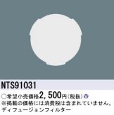 NTS91031