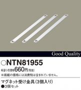 NTN81955