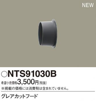 NTS91030B
