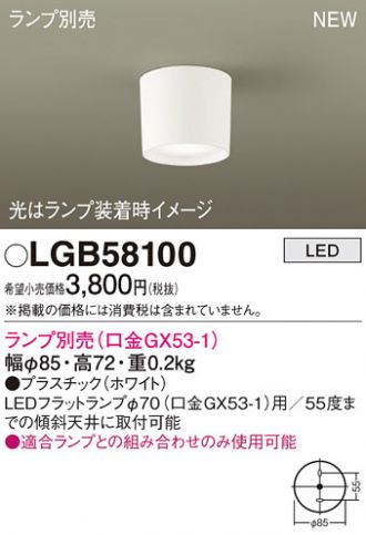 LGB58100