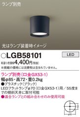 LGB58101