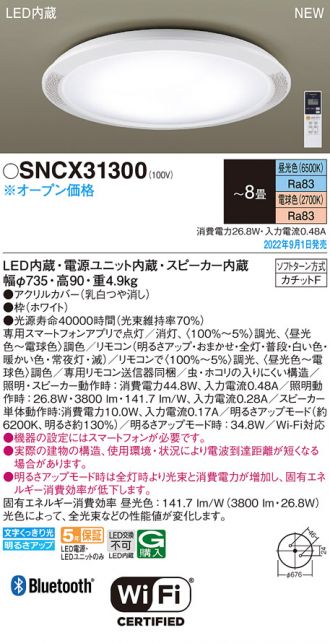 SNCX31300