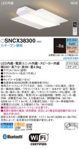 SNCX38300
