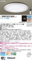 SNCX31300