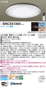 SNCX51300
