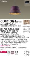 LGB10898LE1