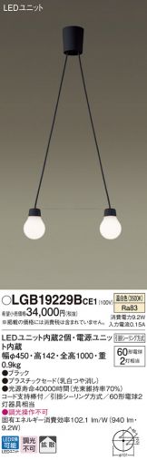 LGB19229BCE1