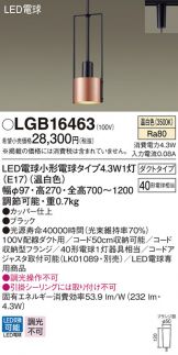 LGB16463