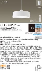 LGBZ6181