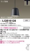LGB16128