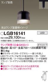 LGB16141