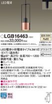 LGB16463