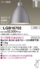 LGB16702