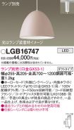 LGB16747