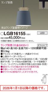 LGB16155