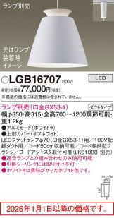 LGB16707