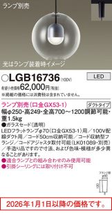 LGB16736