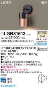 LGB81613