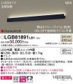 LGB81891LB1