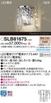 SLB81675