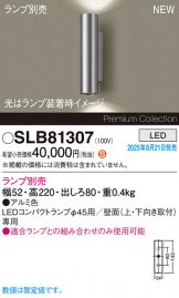 SLB81307