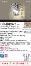 SLB81675