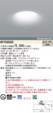 NYY56509