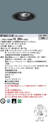 NTS63131B