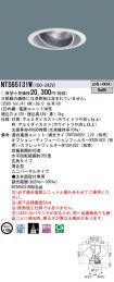 NTS65131W