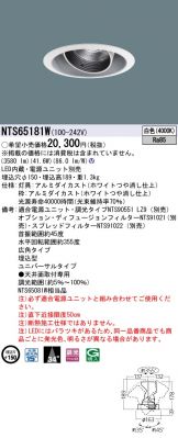 NTS65181W