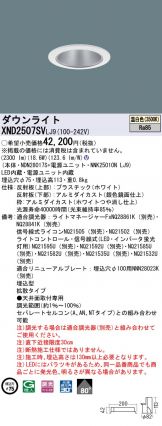 XND2507SVLJ9