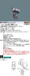 NYT1031FLE9
