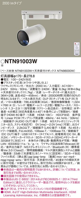 NTN91003W