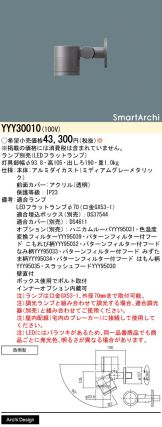 YYY30010