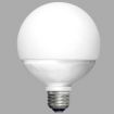 LDG11N-G100W