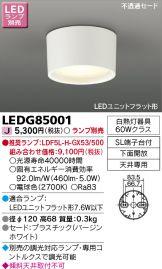 LEDG85001