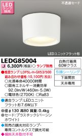 LEDG85004